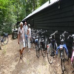 P1020153-1.jpg