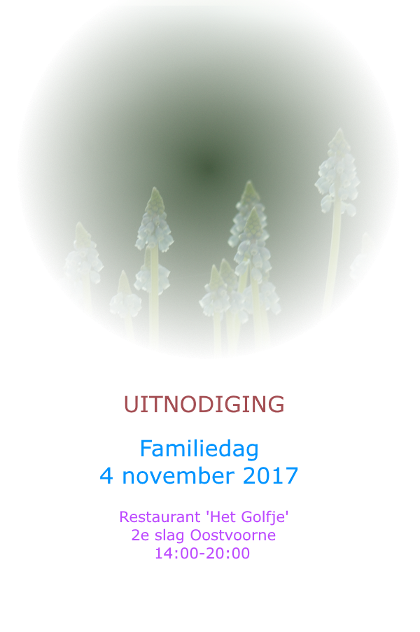 paint.net radiaal verloop