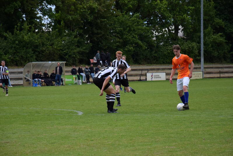 dsc_1312-standard.jpg