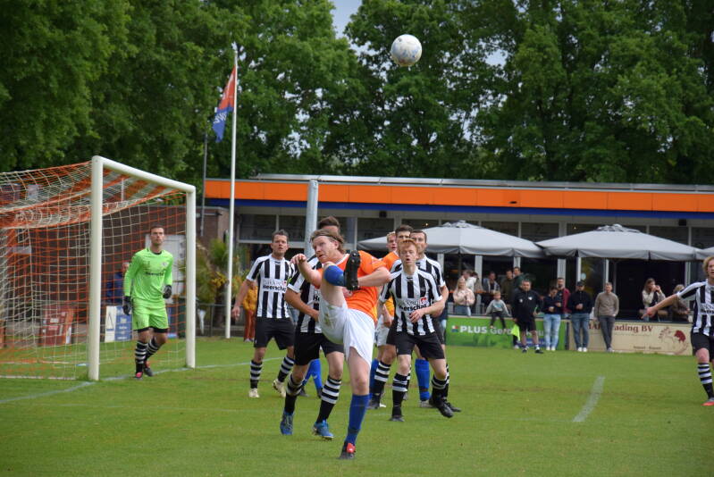 dsc_1349-standard.jpg