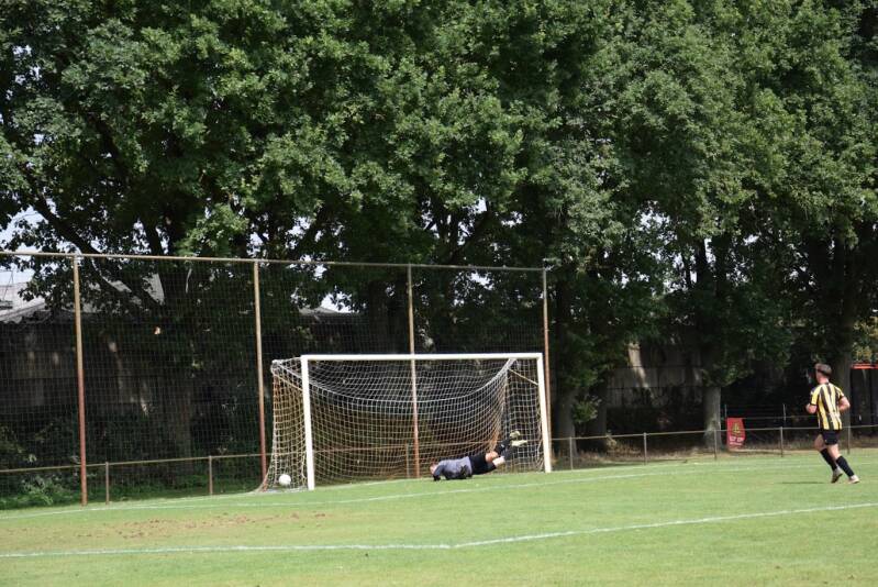 dsc_2010-standard.jpg