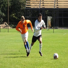 s0072828-standard.jpg