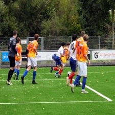s0083279-standard.jpg