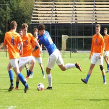 s0113034-standard.jpg