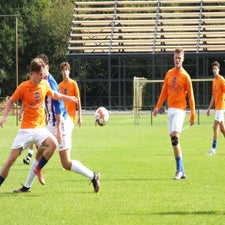s0113035-standard.jpg
