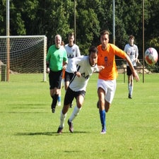 s0122852-standard.jpg