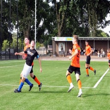s0132678-standard.jpg