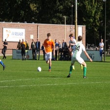 s0133625-standard.jpg