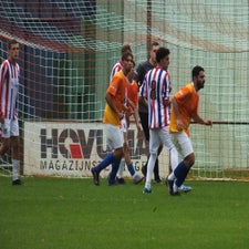 s0154058-standard.jpg