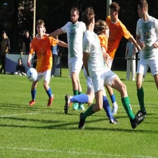 s0183641-standard.jpg