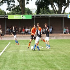 s0212701-standard.jpg