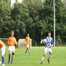 s0223081-standard.jpg