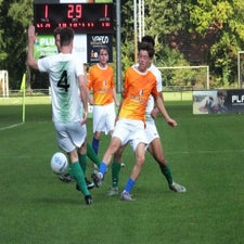 s0223660-standard.jpg