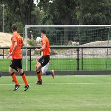 s0332733-standard.jpg