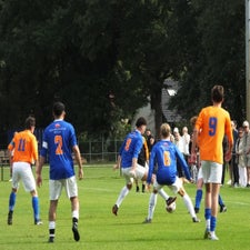 s0353160-standard.jpg