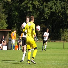 s0362937-standard.jpg