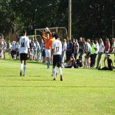 s0382943-standard.jpg