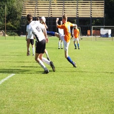 s0392945-standard.jpg