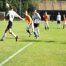 s0392947-standard.jpg