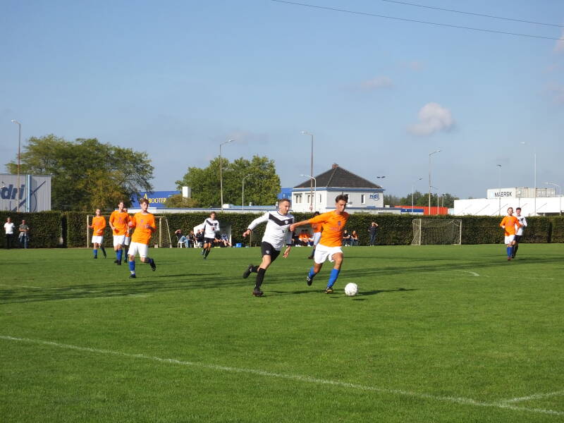 s0488868jpg-1.jpg