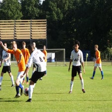 s0492986-standard.jpg