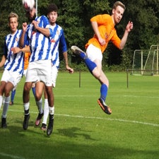 s0493225-standard.jpg