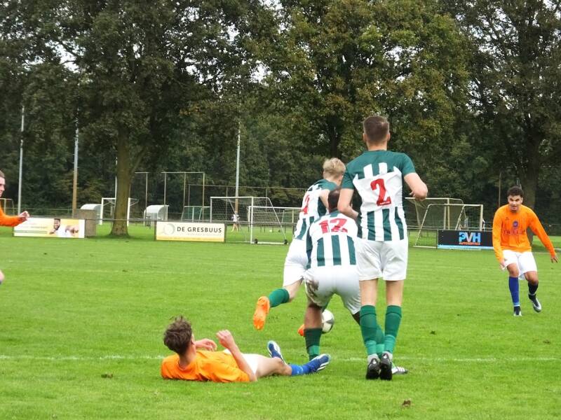 s0636805-standard.jpg