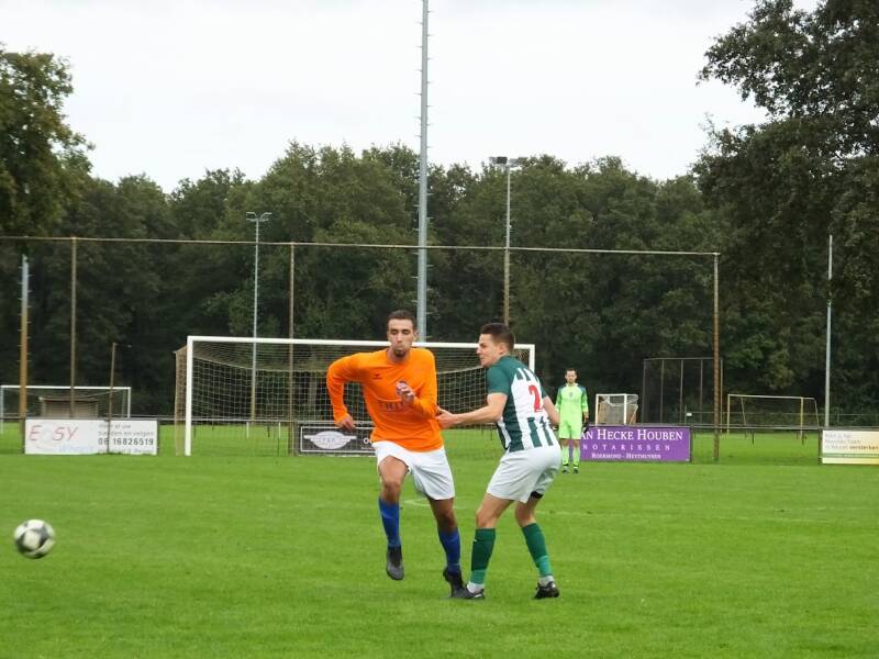 s0666817-standard.jpg