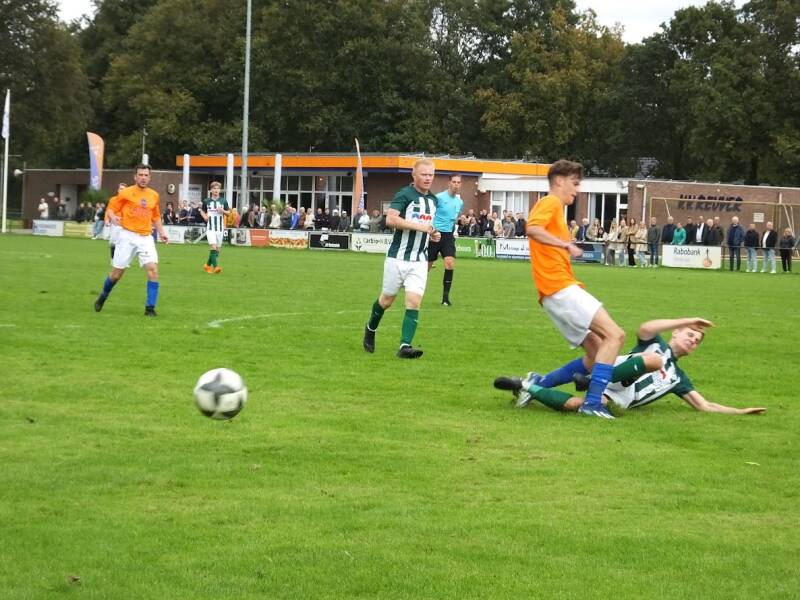 s0736838-standard.jpg