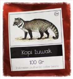 koffie kopi luwak civetkat