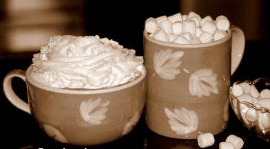 warme chocolademelk