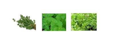 groene kruiden
