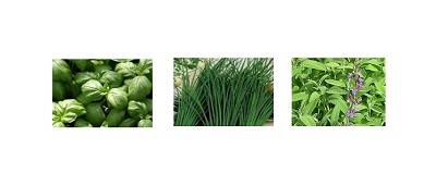 groene kruiden