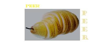 peer
