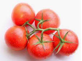 tomaat