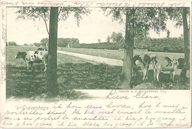 BijdeRijswijkscheweg01-1.jpg