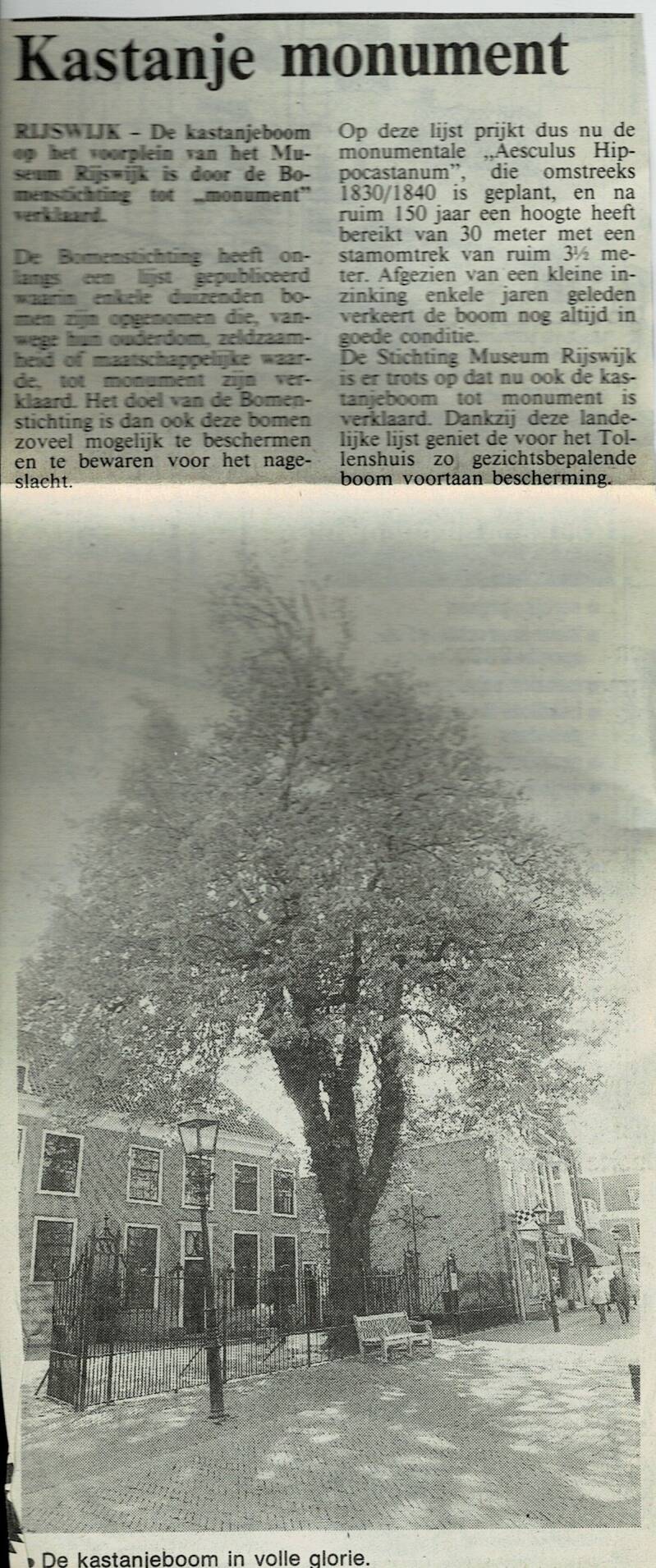 BoombijMuseum2.jpg