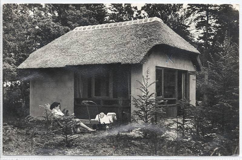 CampingGrotebos2-1.jpg