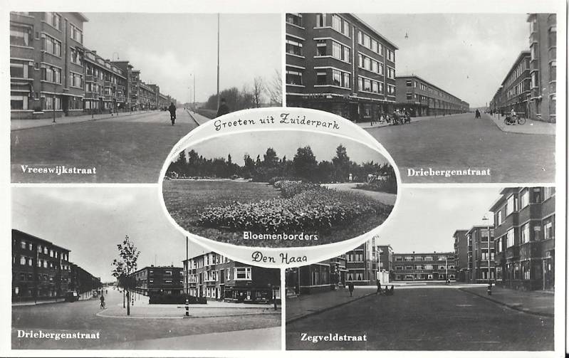 CollageZuiderparkb4-1.jpg
