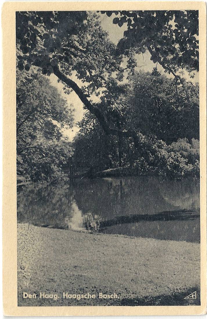 Haagschebosch2-2.jpg