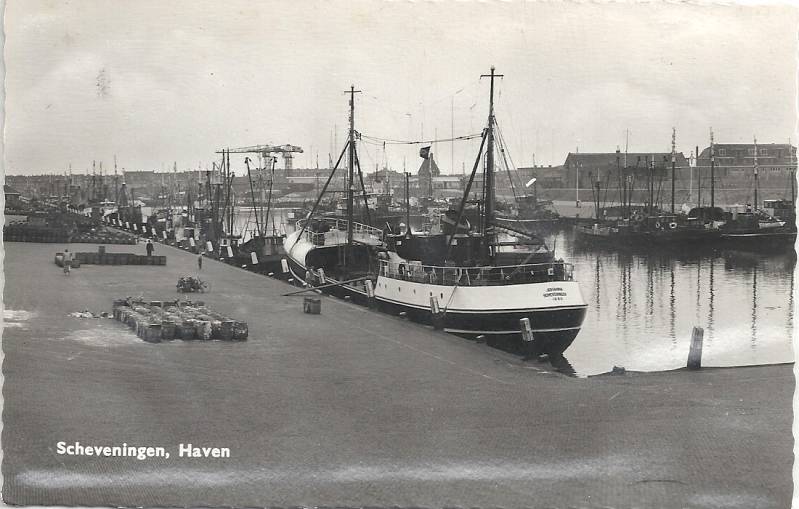 Havens13-1.jpg