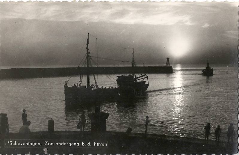Havens4a-1.jpg