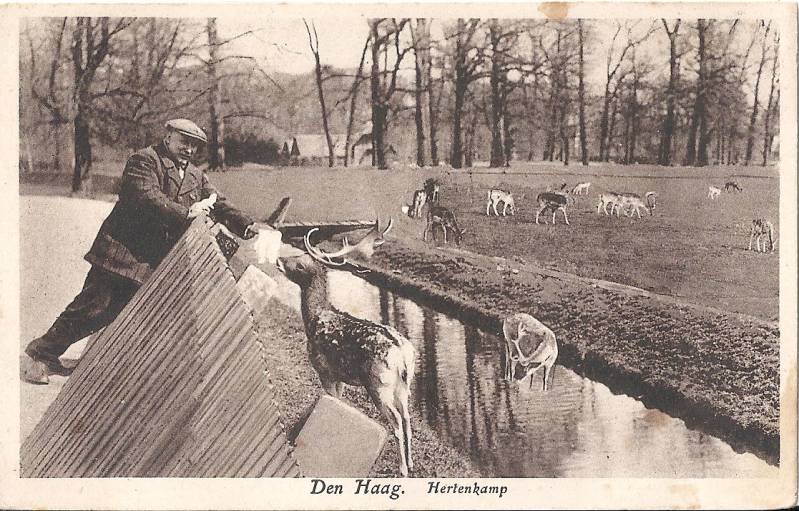 Hertenkamp6-1.jpg
