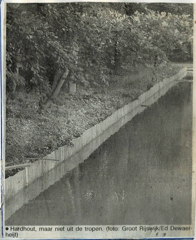 RijswijkseBos1b.jpg