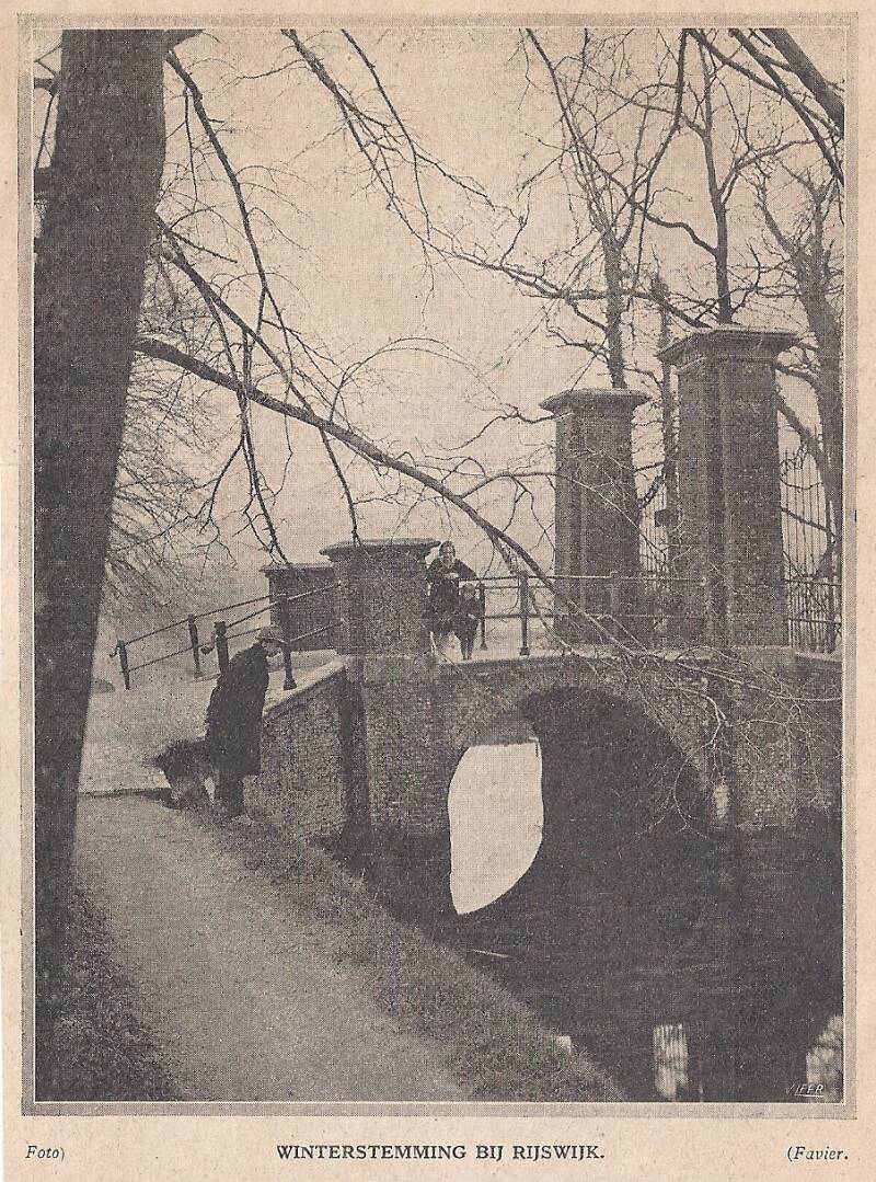 TeWerve19311-3.jpg