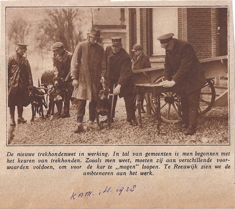 aReeuwijkTrekhondenwet1928-1.jpg