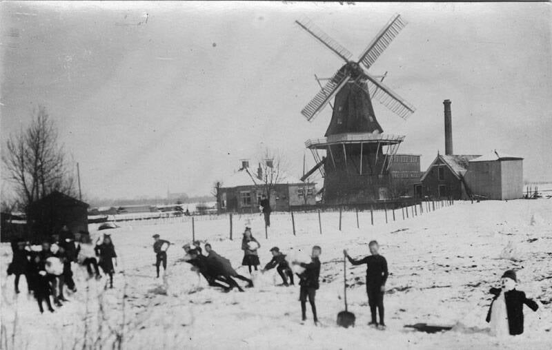 Molen van Aalfs Bergumerdam