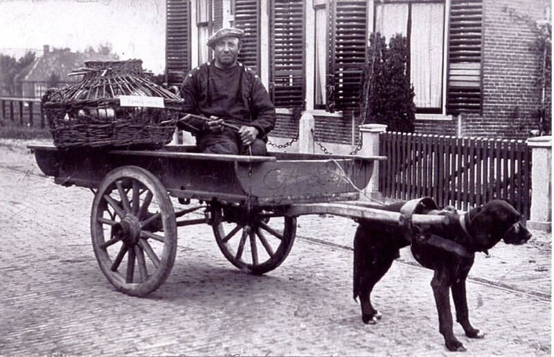 Gjalt Meijer met zijn hondenkar