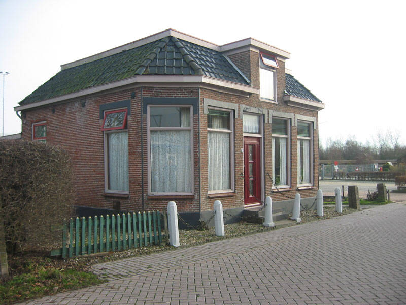 Damsingel 7 Sumar