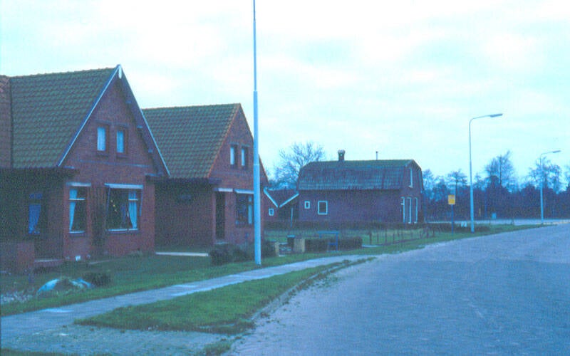 Damsingel 15, 17, 19 Sumar